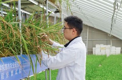 國際首次試驗(yàn)成功，核心技術(shù)源自天府新區(qū)科技推廣與應(yīng)用服務(wù)