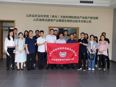 科技賦能 綠色未來——濰坊設施番茄產(chǎn)業(yè)服務團推廣天敵生防技術(shù)紀實